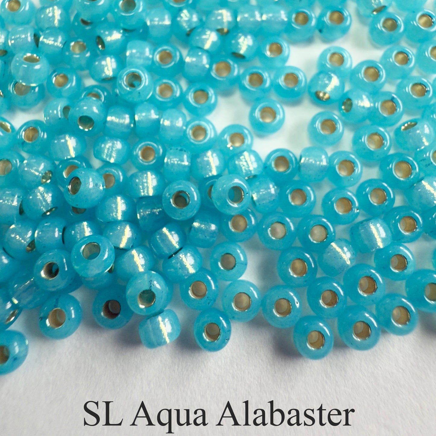 Miyuki Seed Beads 8/0 Silver Lined - choose color