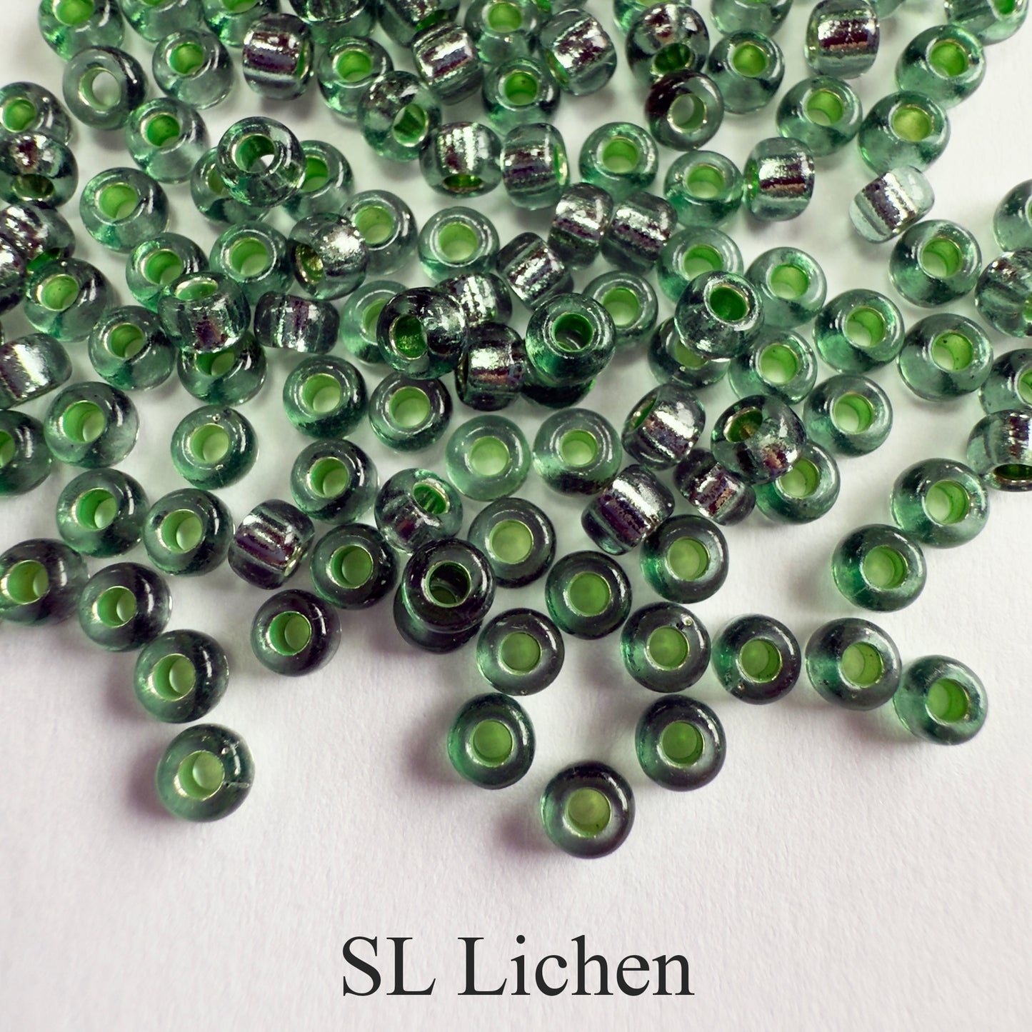 Miyuki Seed Beads 8/0 Silver Lined - choose color