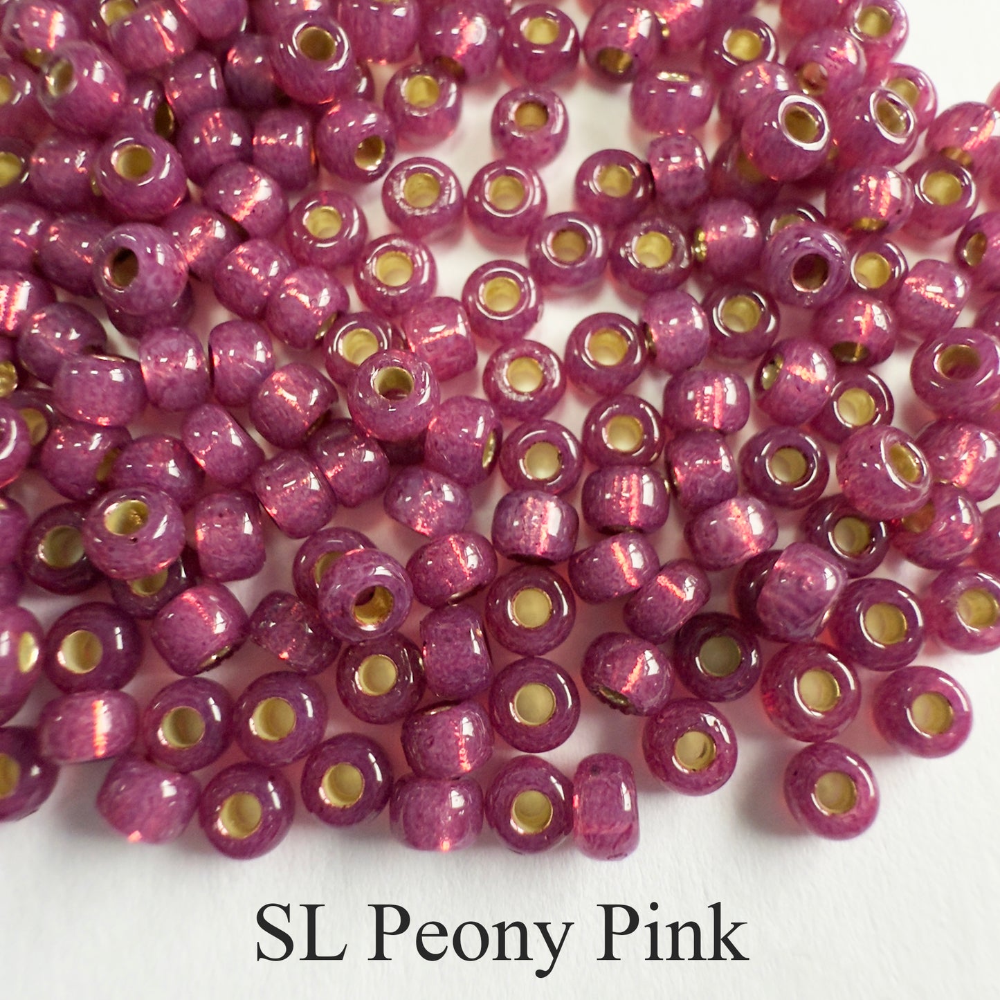 Miyuki Seed Beads 8/0 Silver Lined - choose color