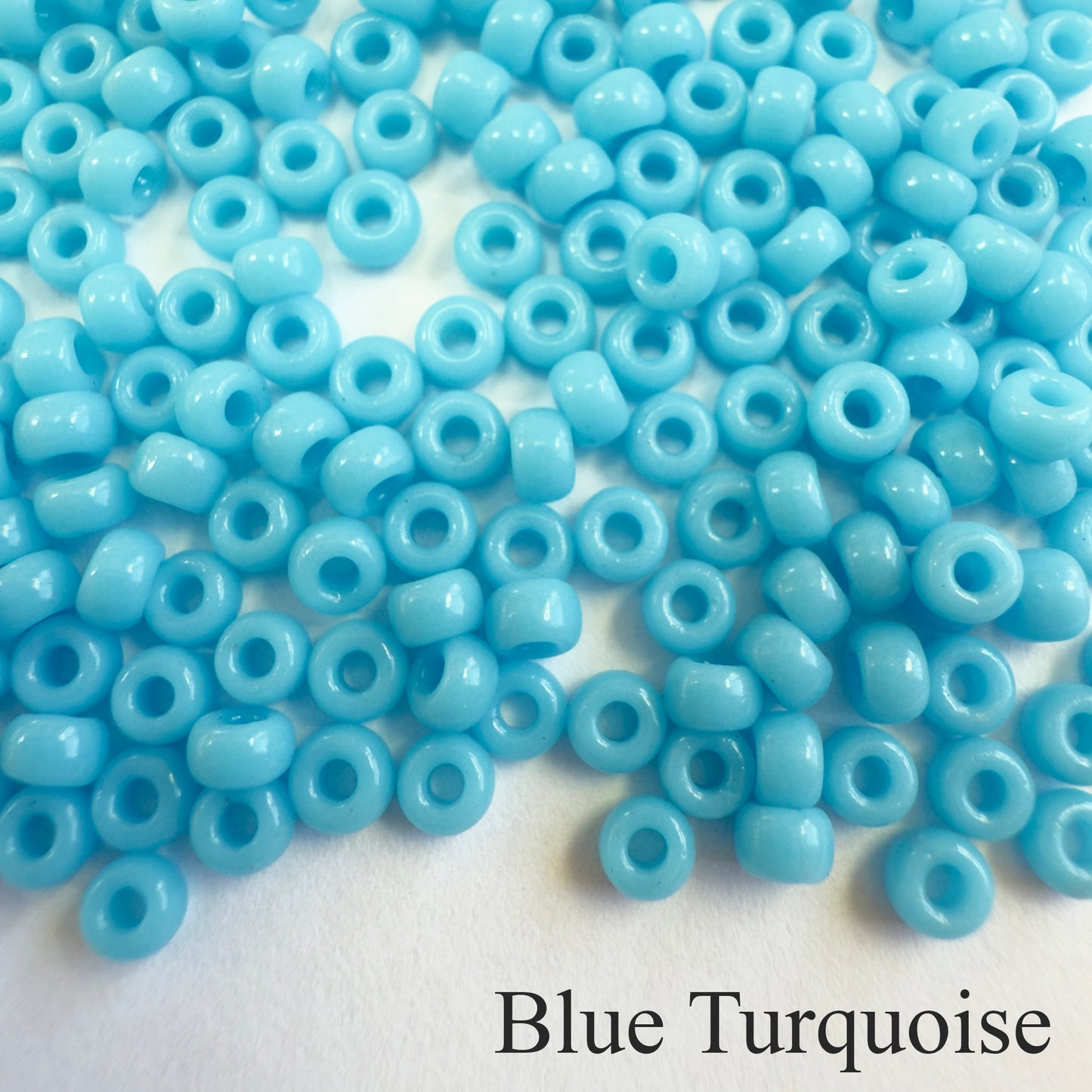 8/0 Opaque Miyuki Seed Beads (20grams) - choose color