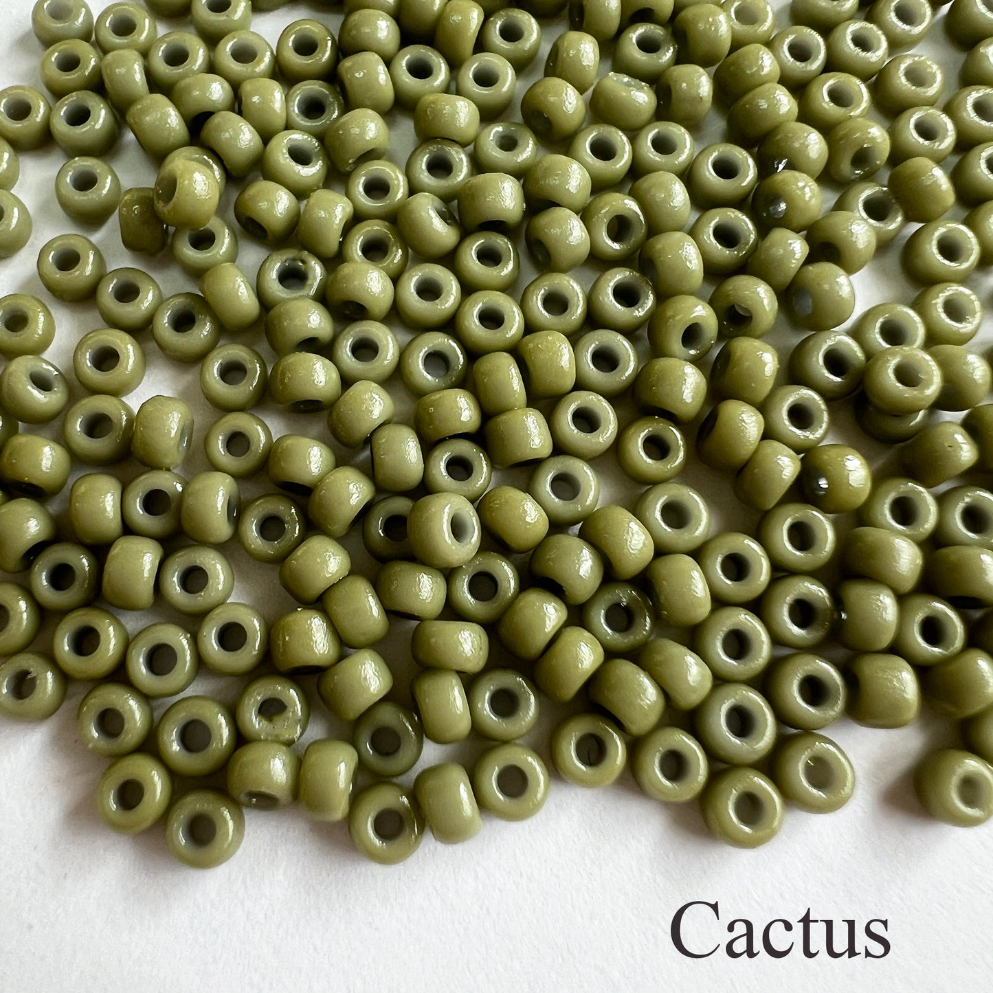 8/0 Opaque Miyuki Seed Beads (20grams) - choose color