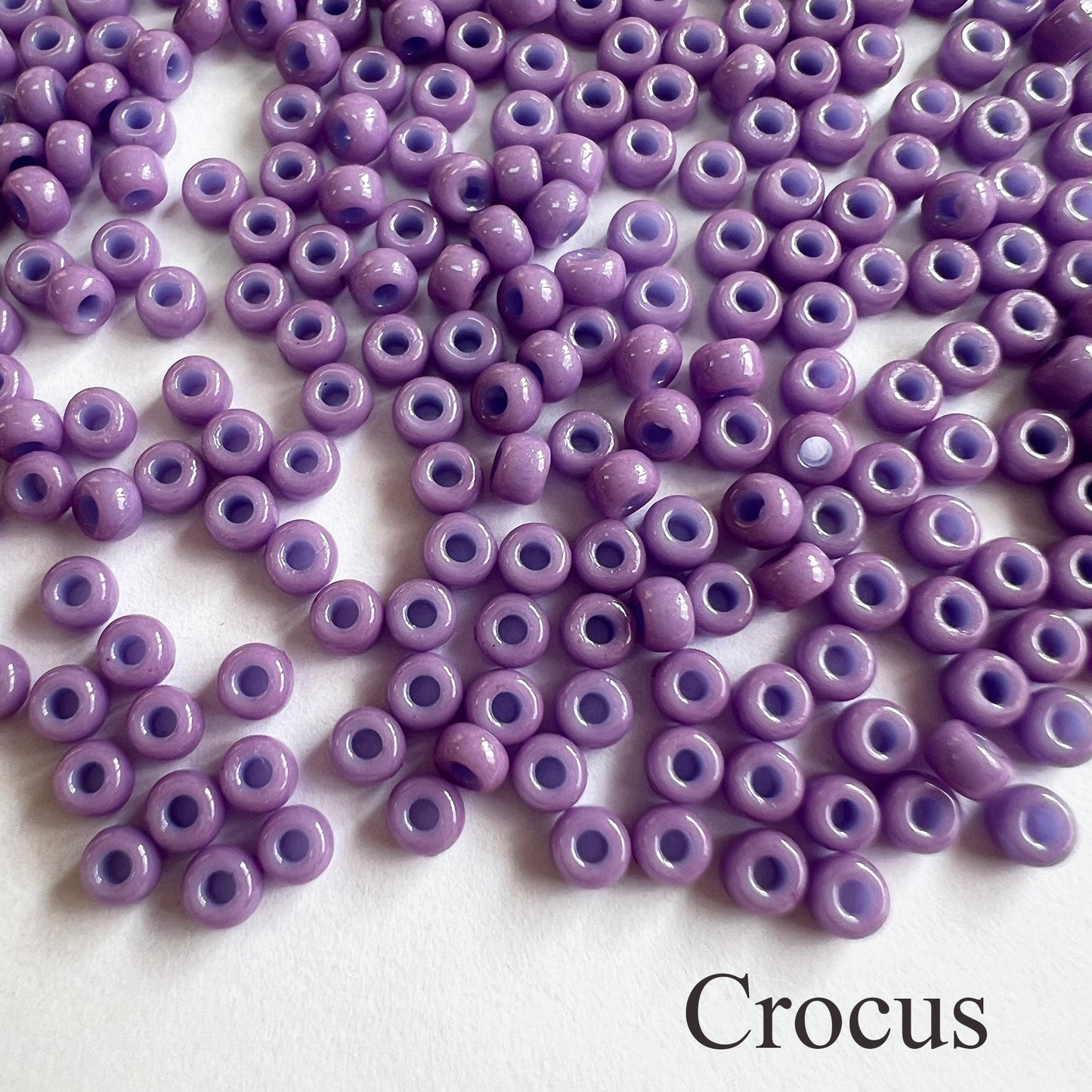 8/0 Opaque Miyuki Seed Beads (20grams) - choose color