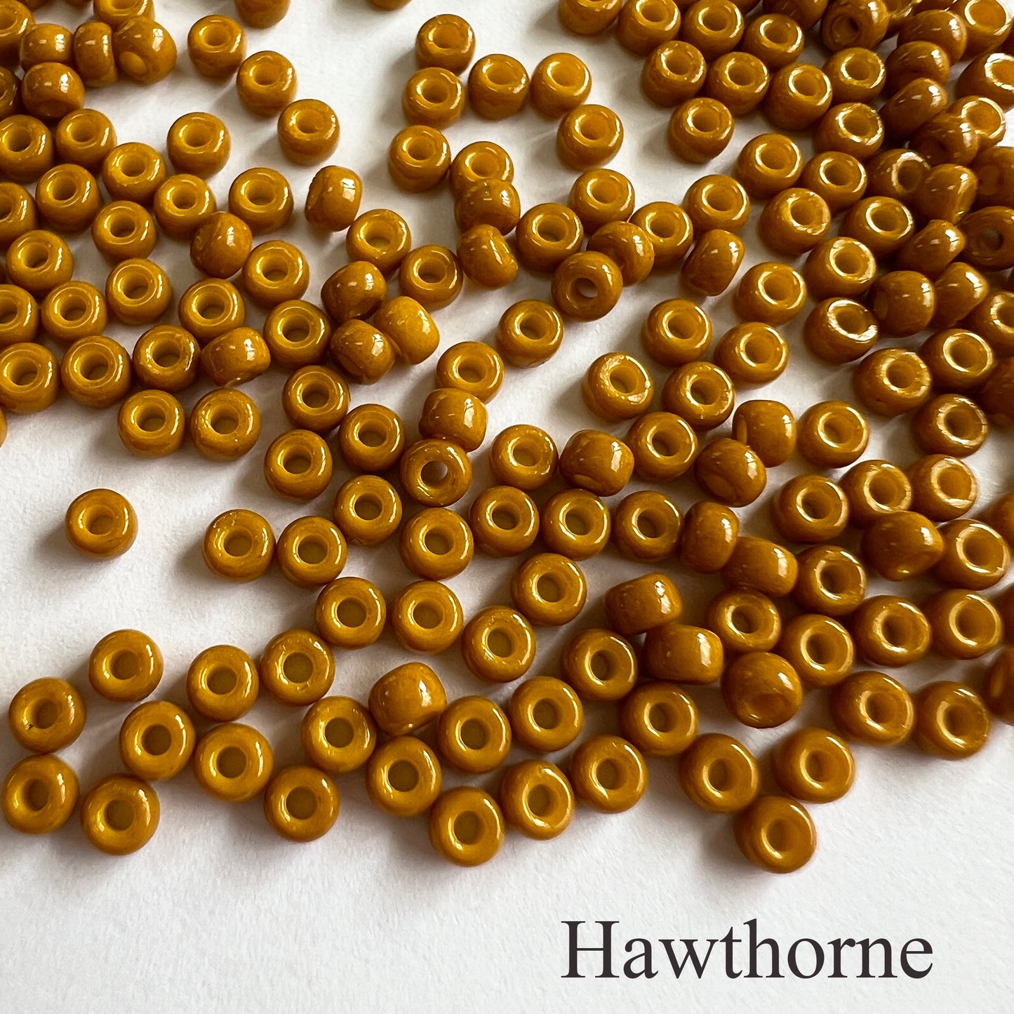 8/0 Opaque Miyuki Seed Beads (20grams) - choose color