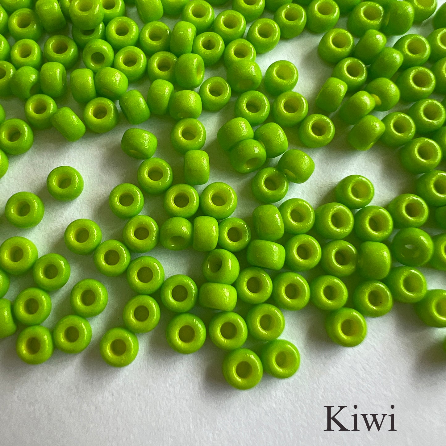 8/0 Opaque Miyuki Seed Beads (20grams) - choose color