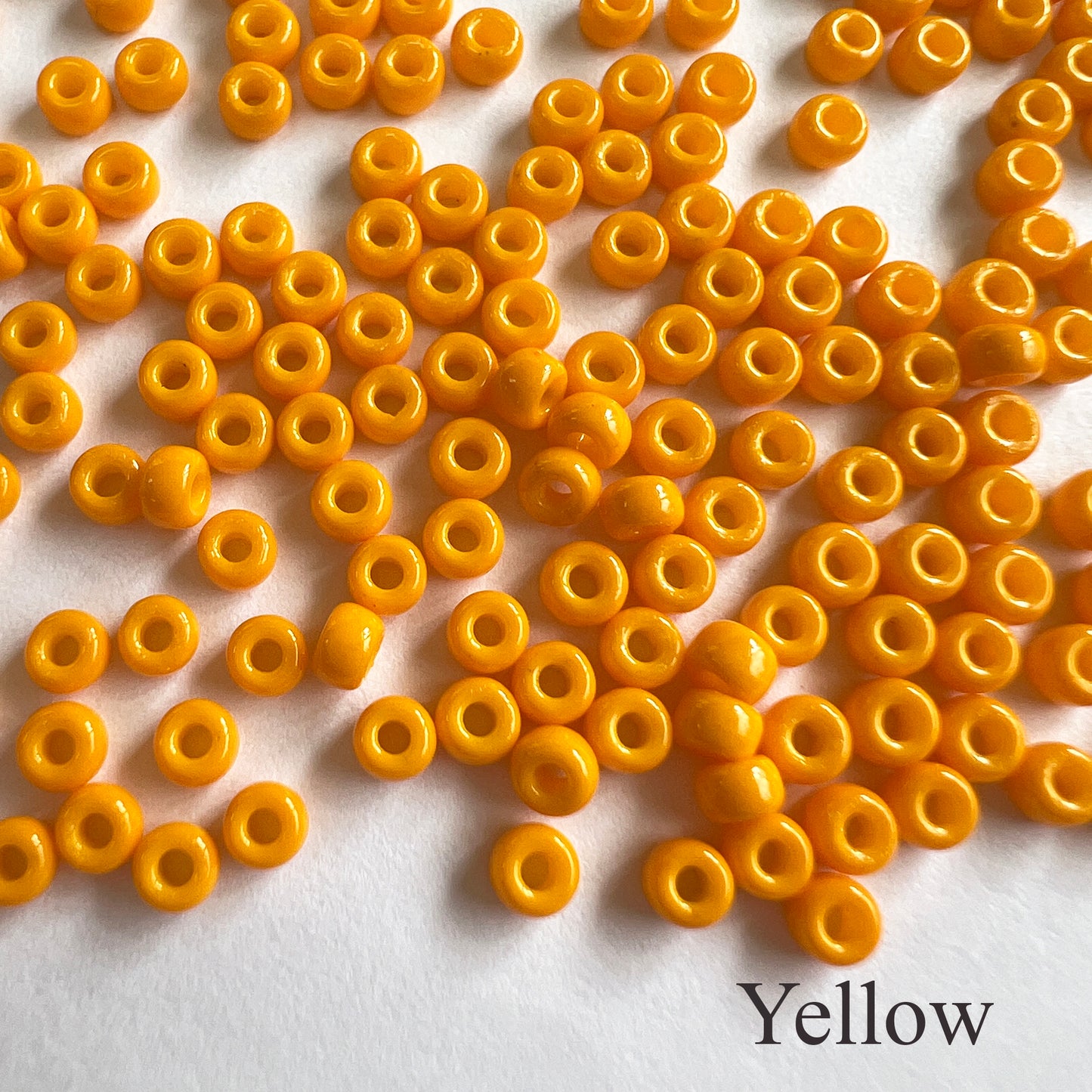 8/0 Opaque Miyuki Seed Beads (20grams) - choose color