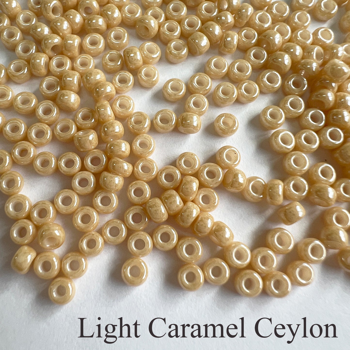 8/0 Opaque Miyuki Seed Beads (20grams) - choose color